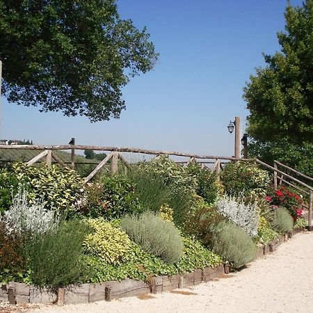 Tenuta Colverano モンテファルコ エクステリア 写真