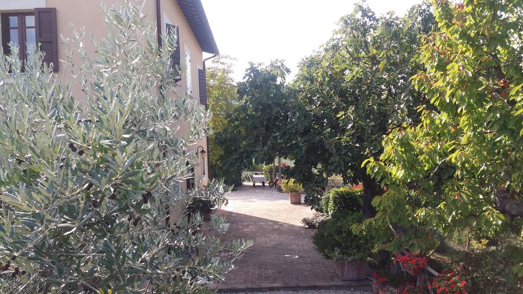 Tenuta Colverano モンテファルコ エクステリア 写真