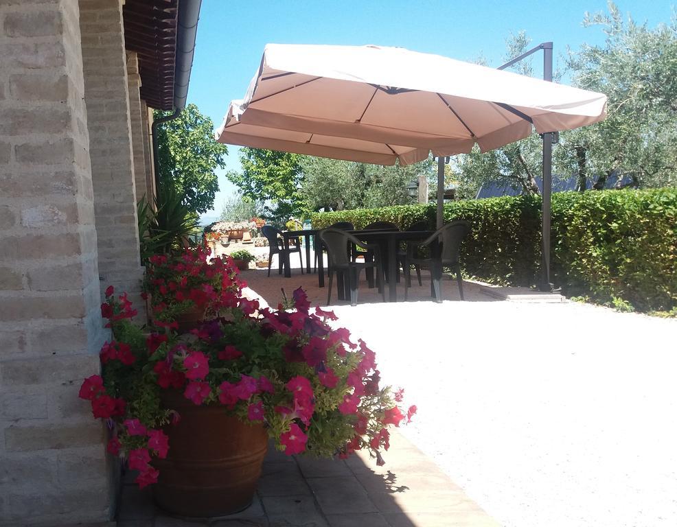 Tenuta Colverano モンテファルコ エクステリア 写真