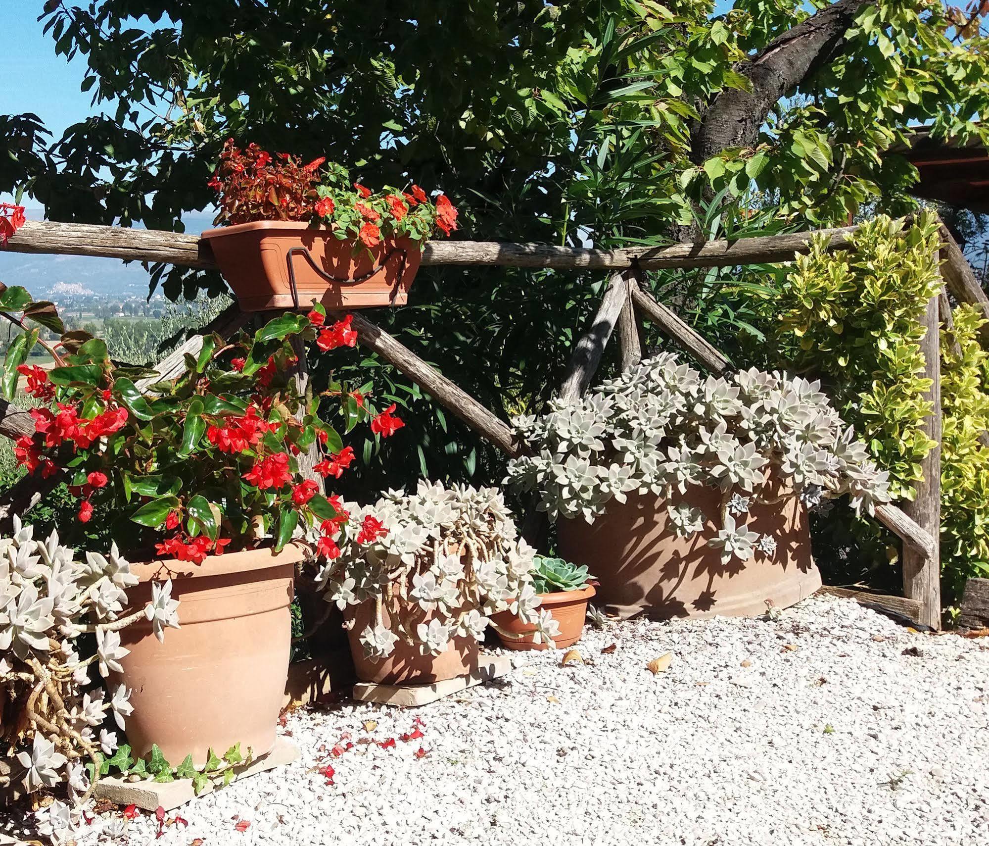 Tenuta Colverano モンテファルコ エクステリア 写真