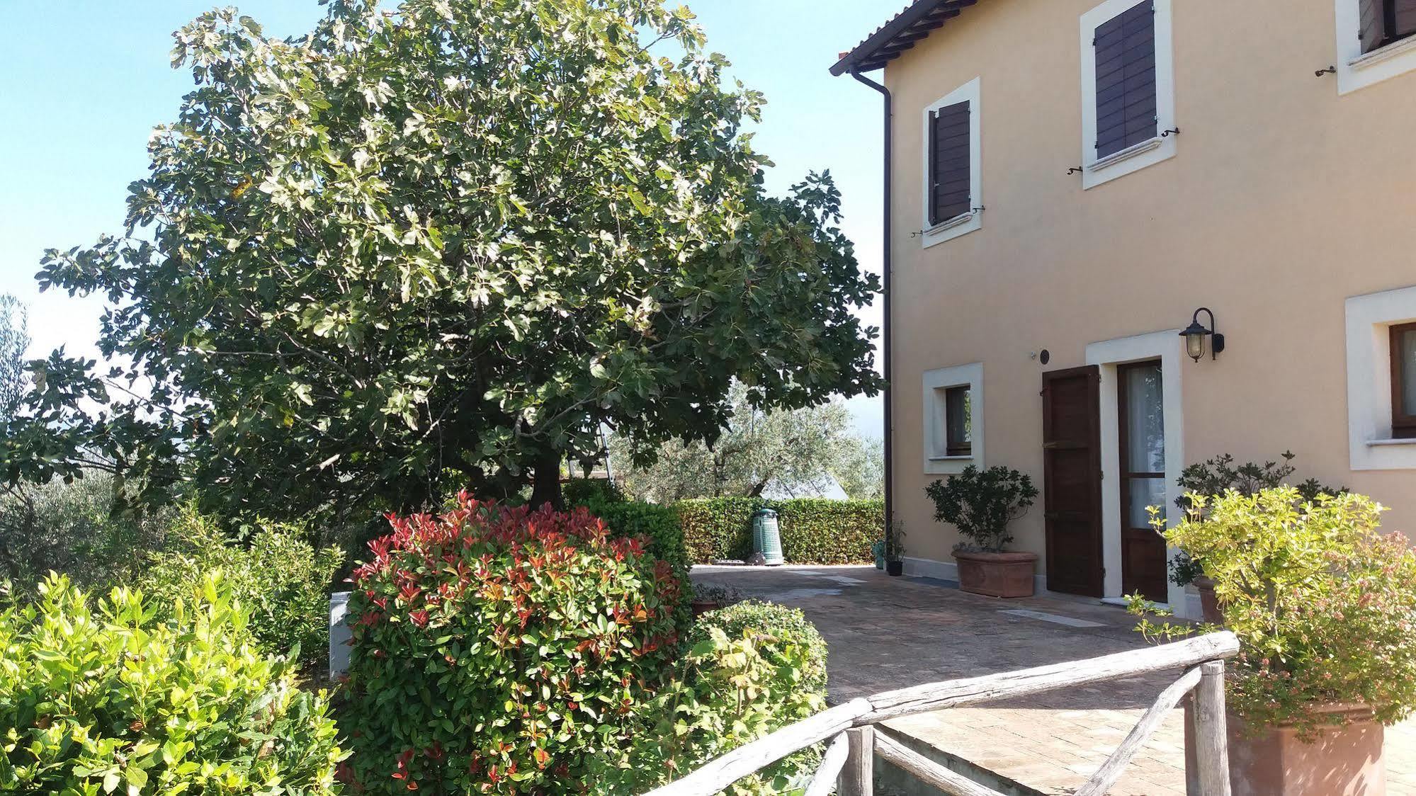 Tenuta Colverano モンテファルコ エクステリア 写真