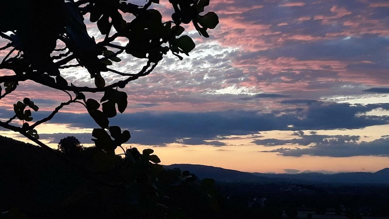 Tenuta Colverano モンテファルコ エクステリア 写真
