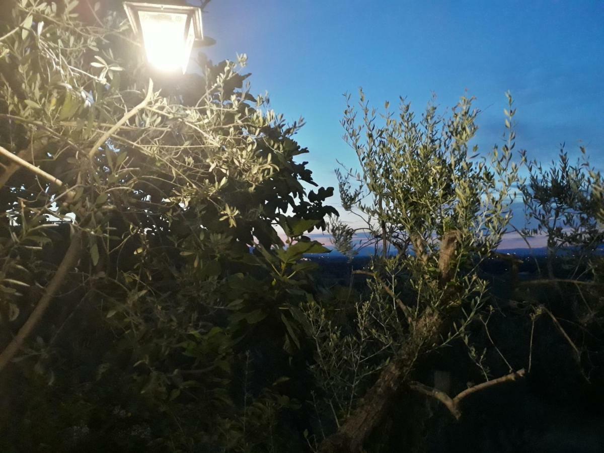 Tenuta Colverano モンテファルコ エクステリア 写真